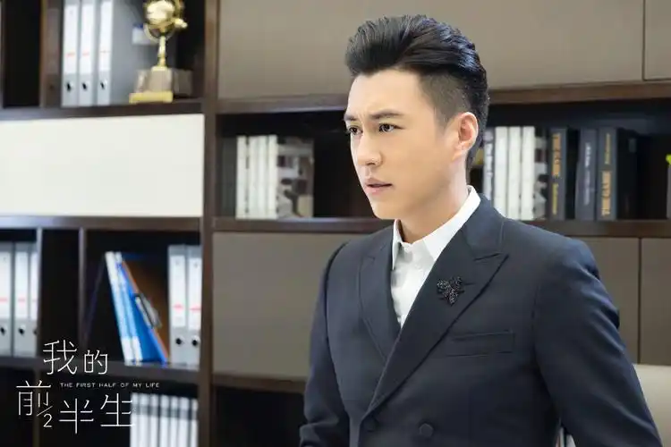 勒东主演过的电视剧大全(靳东播放量最高的七部电视剧排名)-第32张