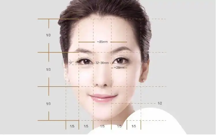 8时才是理想的五官比例美丽面孔的黄金比例4,整体五官的协调性弹性