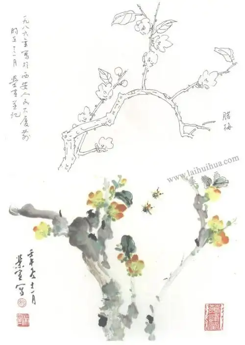 腊梅写意画法