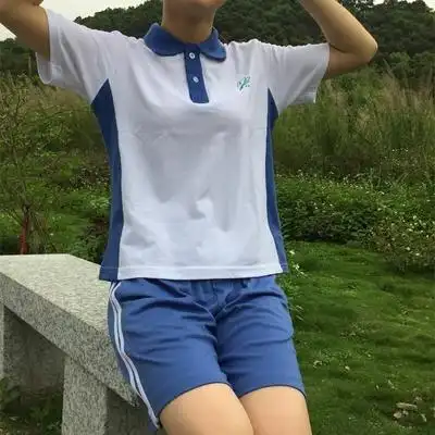 套装夏蓝色校服裤子两道杠短裤修身翻领短袖t恤夏衣女