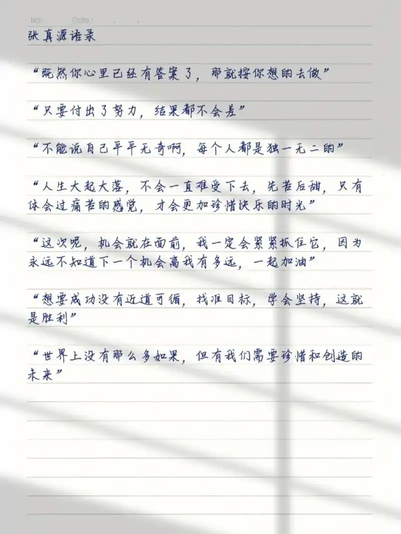 张真源语录 "你不能说借了我的光,那是你自己的光,得到了机会,展现了