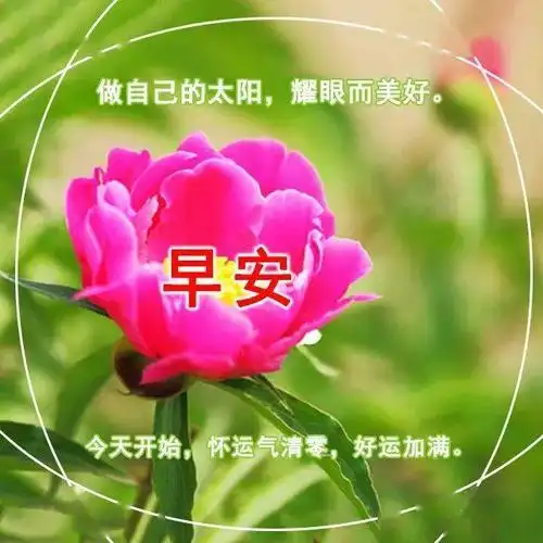 早安动态图片大全漂亮 早安祝福语最温馨的话