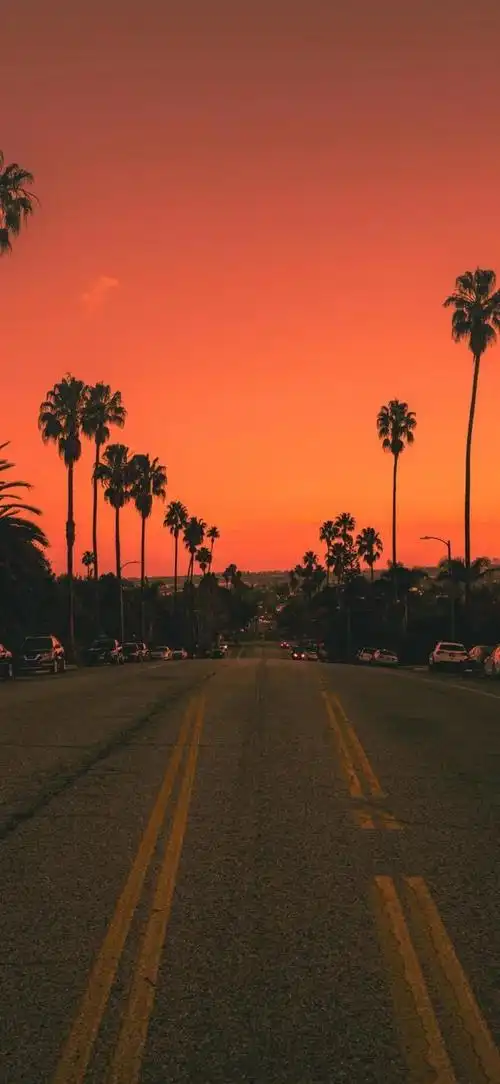 抖音热门壁纸推荐你是vip