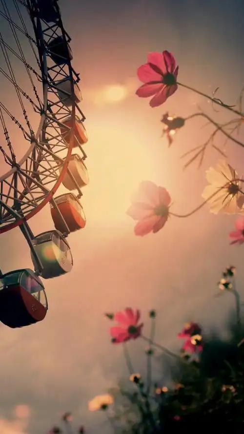 摩天轮 背景图片,摩天轮图片高清(手机壁纸,唯美浪漫摩天轮)