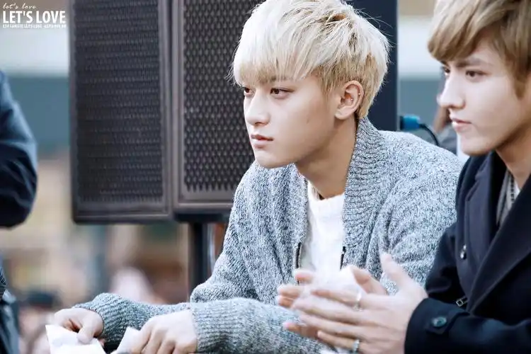 exo,tao,黄子韬exo壁纸图片