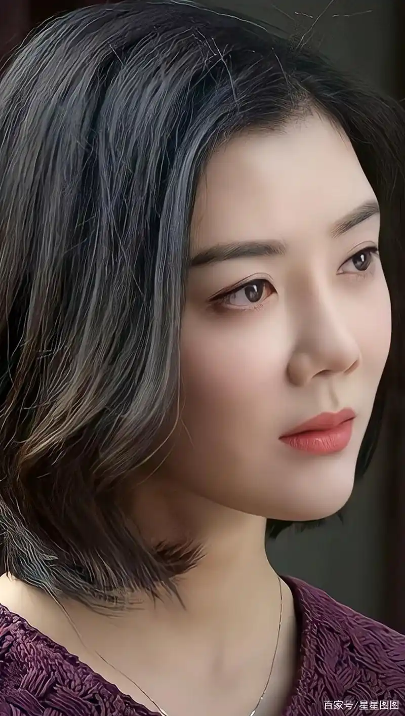 明星图集——车晓