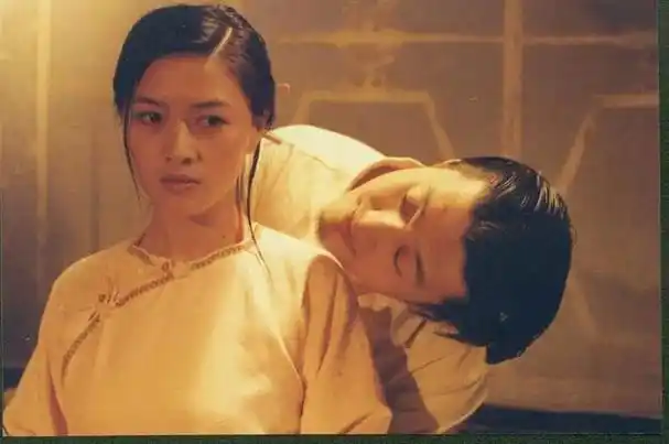 电视剧关中匪事田海蓉美照(老陕都看过的电视剧)(15)