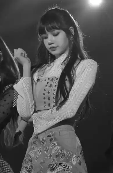 lisa,韩国著名女团blankpink的成员之一,也是泰国籍的唯一成员.