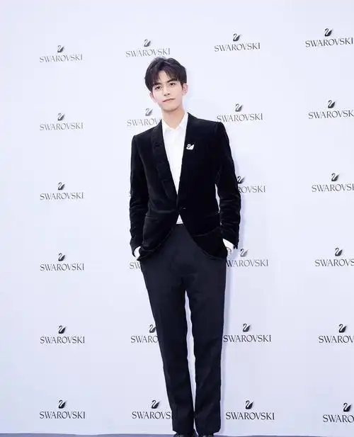 宋威龙最新活动照片,一席黑丝绒西装化身贵公子绅士而稳重,完美