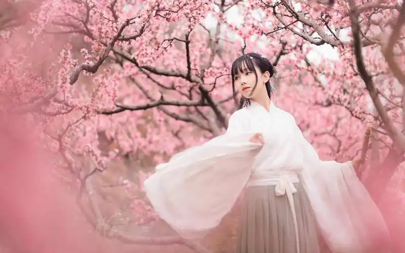 桃花树下古装美女写真图片电脑壁纸