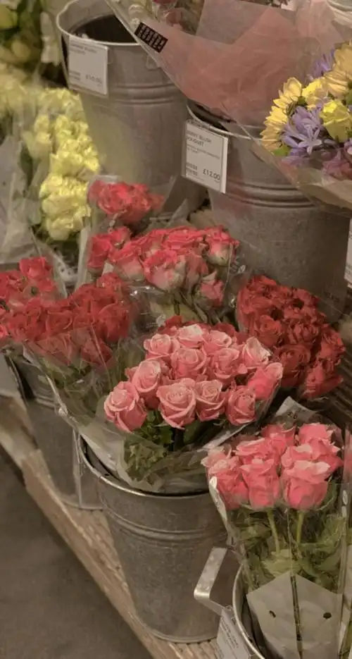 抖音最火壁纸图片图17