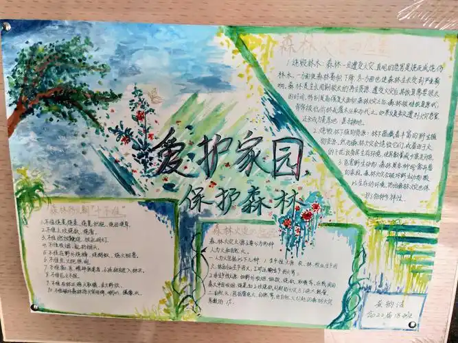 保护森林爱护家园为主题的手抄报 保护家园的手抄报