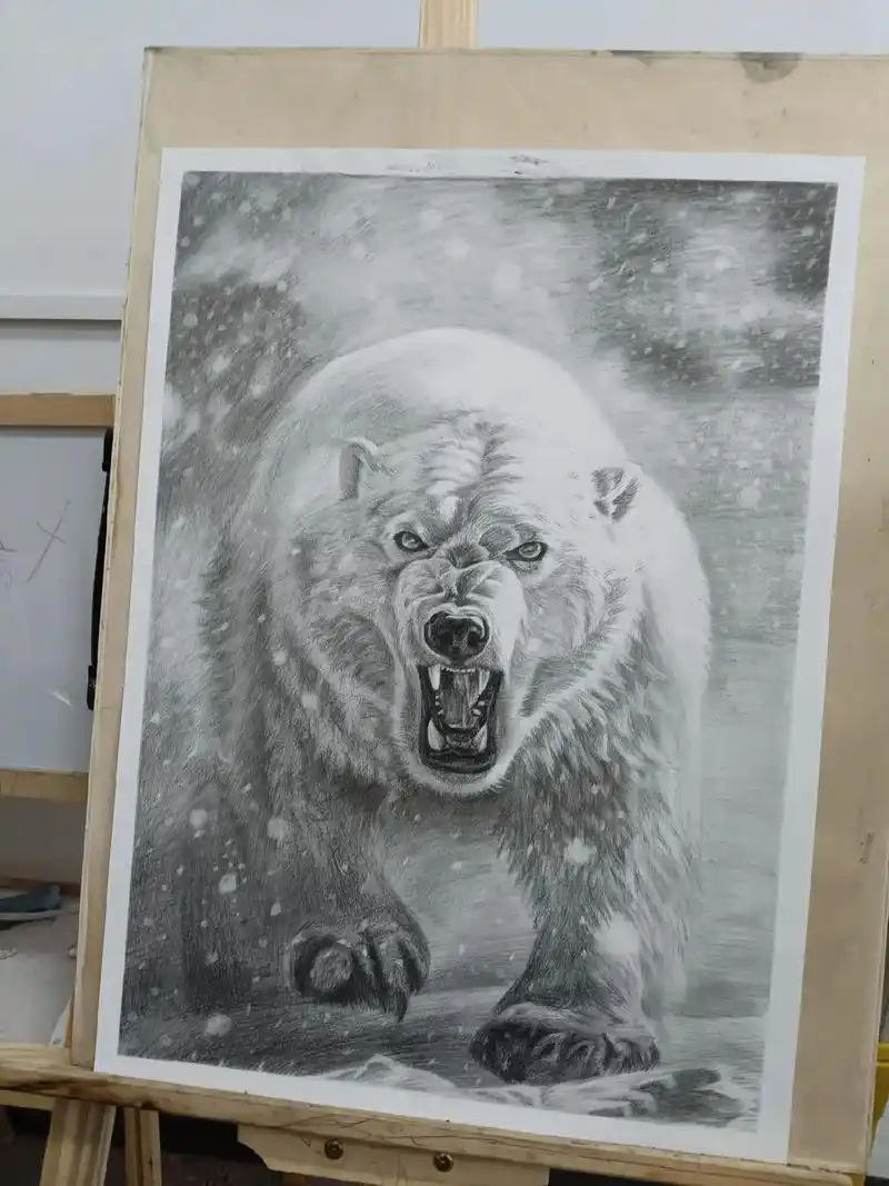 北极熊 #画画 #素描 #动物 #手绘 - 抖音