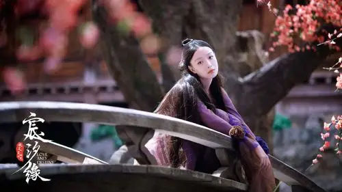 电视剧《宸汐缘》最新剧照图片壁纸