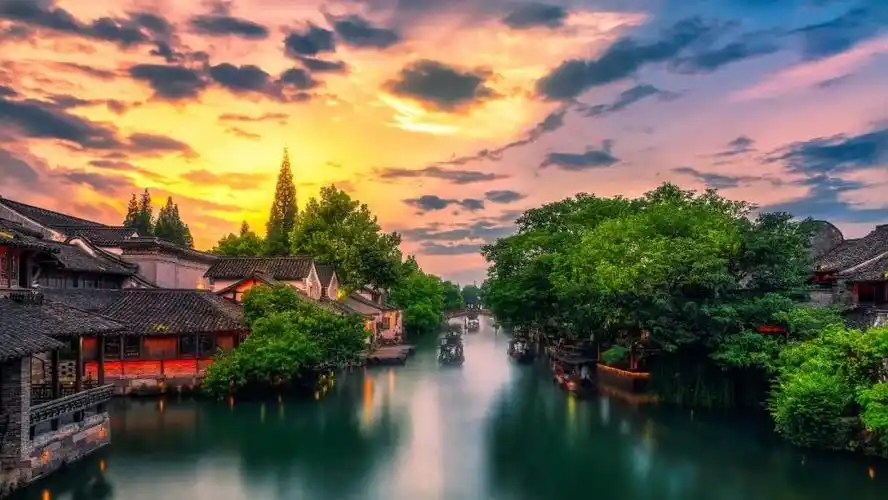 杏花,春雨,江南|视觉中国|烟雨|箬笠_新浪新闻