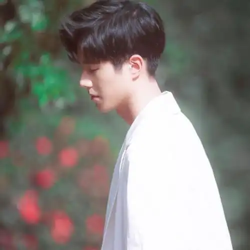 刘昊然头像合集‖"萧萧肃肃,爽朗清举"