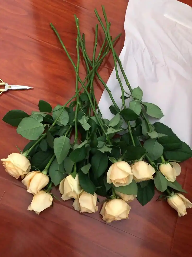 家居插花|香槟玫瑰98 对买花插花一直都有浓厚的兴趣,今天在花市