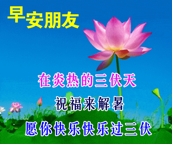 5,三伏到了,家人给你无微不至的关怀,朋友给你至真至诚的问候,阳光给