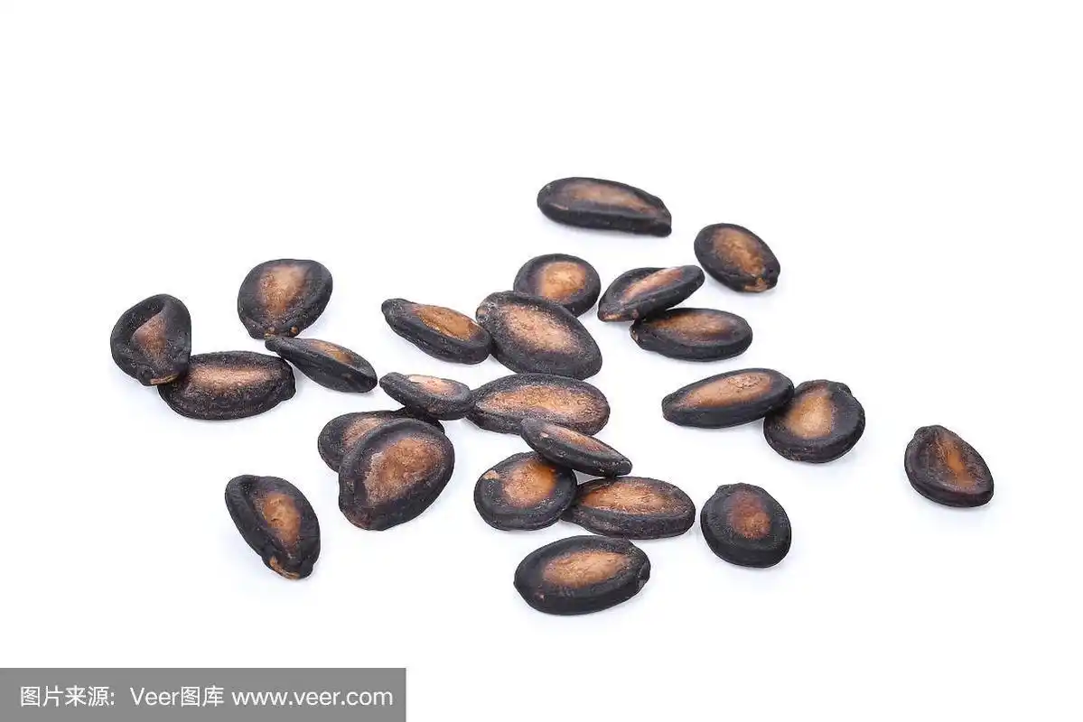 在白色背景上分离的干西瓜种子