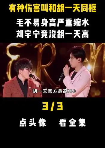 有种伤害叫和胡一天同框,毛不易身高严重缩水,刘宇宁竟没胡一天高