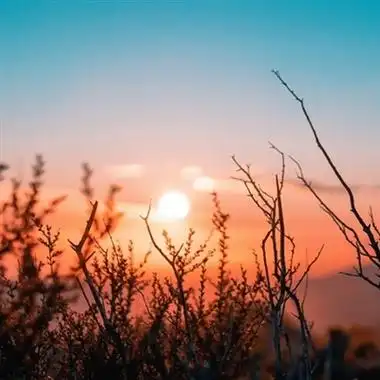 风景头像图片2022最火爆可爱