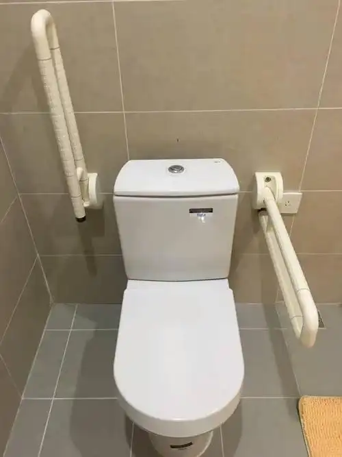 坐便器抗菌扶手,坐便器扶手厂家,卫生间坐便器扶手,厕所马桶扶手_衡水