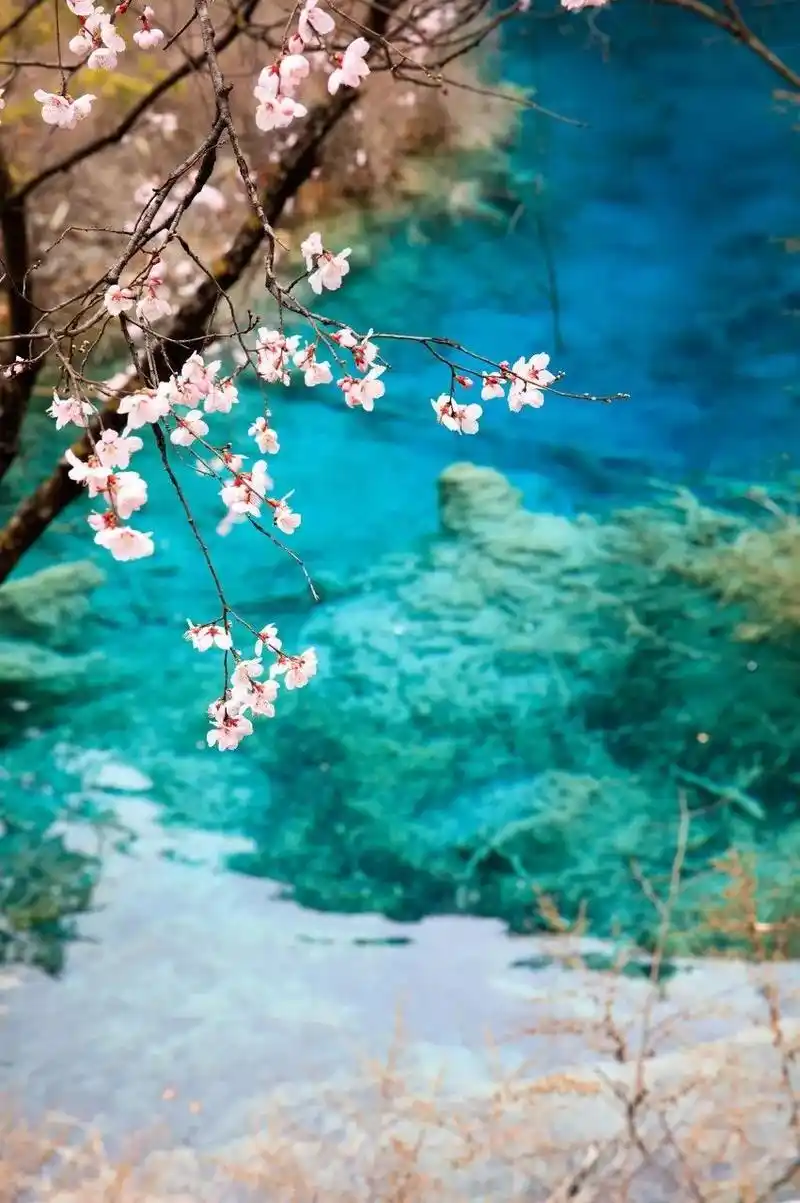 四川10个最美风景,去过6个就太幸福了