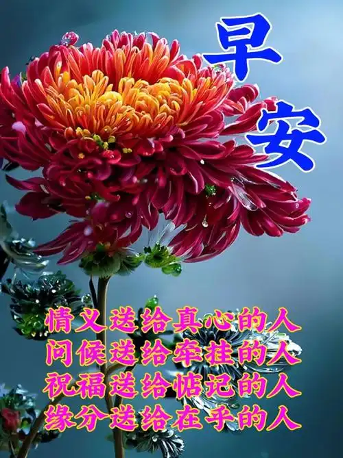 4月17日周一早上好新的一周新的开始温馨唯美早安祝福图片问候语句子