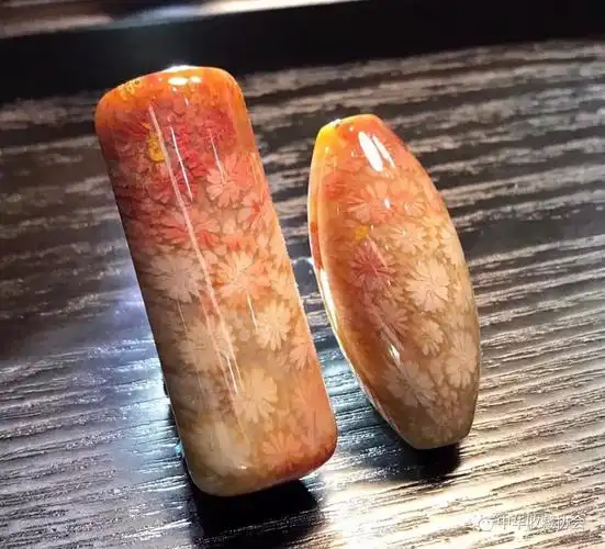 海底亿年宝石—珊瑚玉