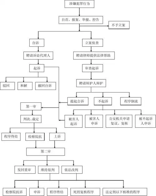 刑事诉讼流程图_word文档在线阅读与下载_无忧文档