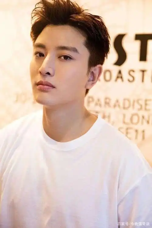 男演员贾乃亮照片合集