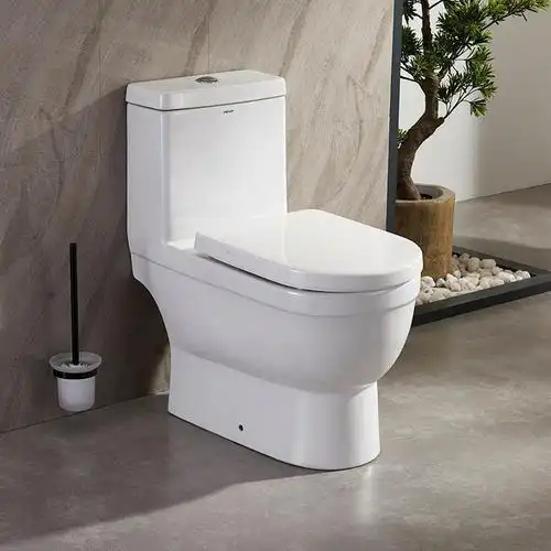 法恩莎faenza马桶直冲式后排地排家用卫生间节水墙排马桶座便器视频