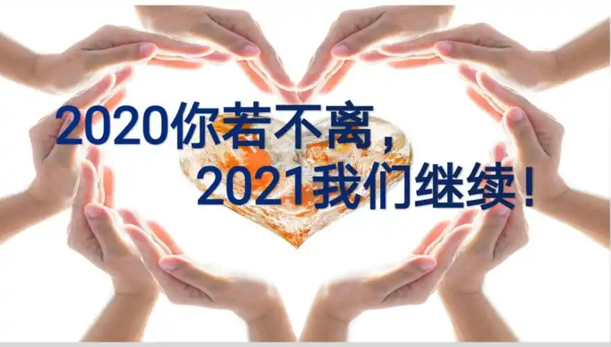 2020你若不离2021我们继续