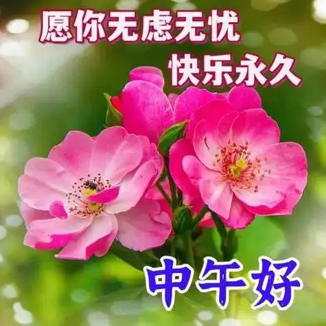 中午好图片大全中午好问候午安美图