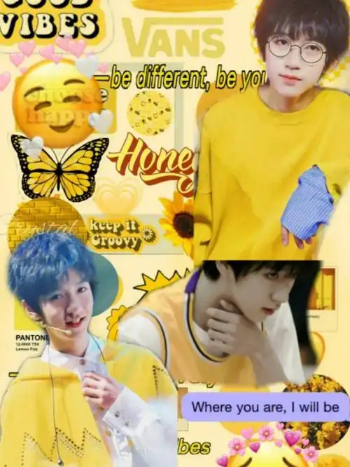 姐妹们快康康!_贺峻霖_壁纸_素材_壁纸