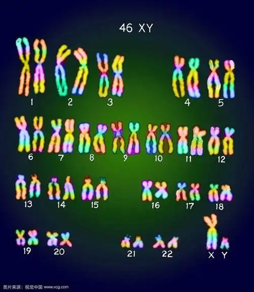 推荐!8号染色体缺失"福如东海"-第1张图片-凯飞博客