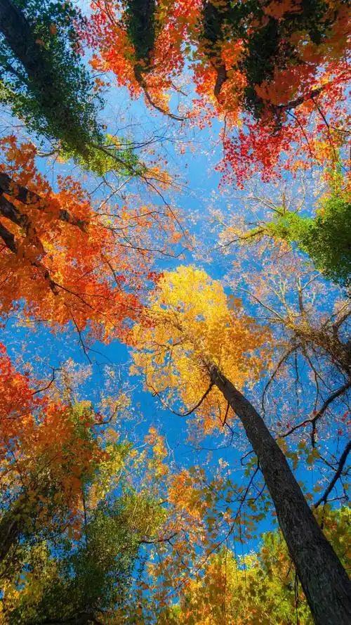 旅游,放松心情,用眼睛享受风景