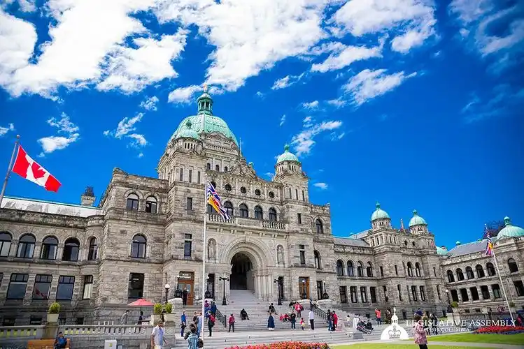 tripadvisor-猫途鹰