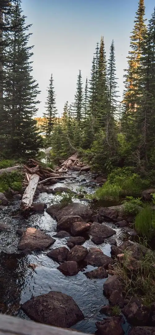护眼大自然美景摄影安静淡然的意境图片