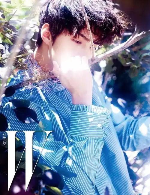 公开exo chen,世勋画报 迷幻v.s.精灵