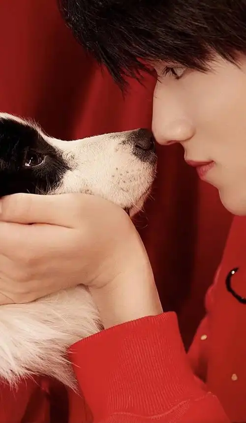 宋亚轩&绝美壁纸