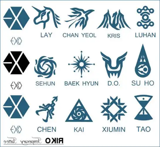 求exo标志的图片,单独的,十二个人的都要,像这样的,不过要那种分开的