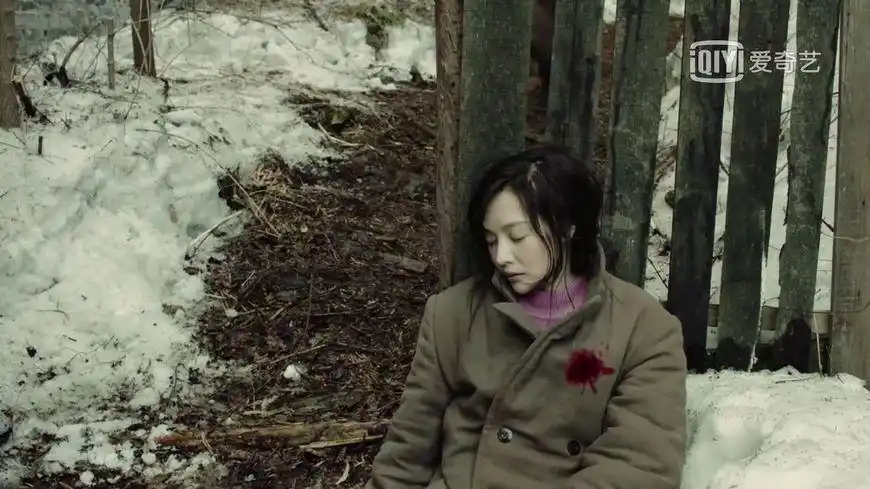 赵冬梅发现日本人地图的秘密后,被保密局追杀,李春秋亦行"走为上"之计