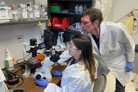 科学家在威斯康辛大学干细胞和再生医学研究所研究心脏干细胞.