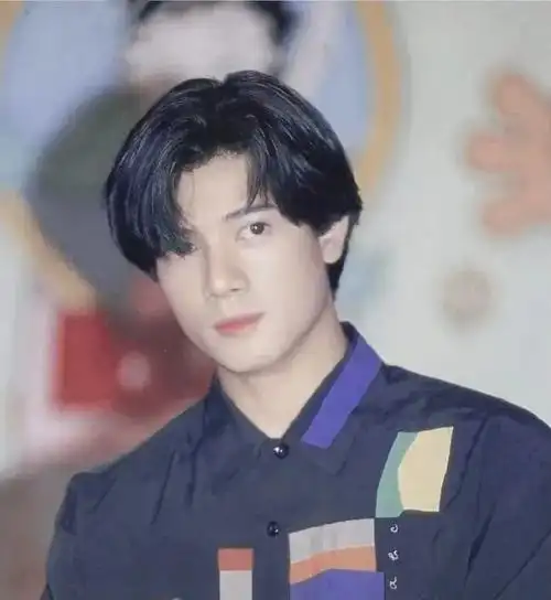 那个时候最流行的香港四大天王,刘德华,张学友,郭富城,黎明,尤其是