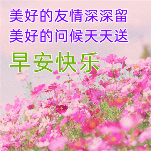 2022年清晨早上好唯美动态祝福图片带字 早晨微信问候动画表情图片