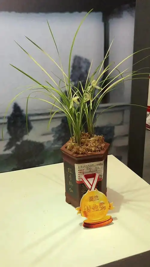 其它 一亿两千万"贵州龙"背后的故事 写美篇在兰花博览中心,听得最多