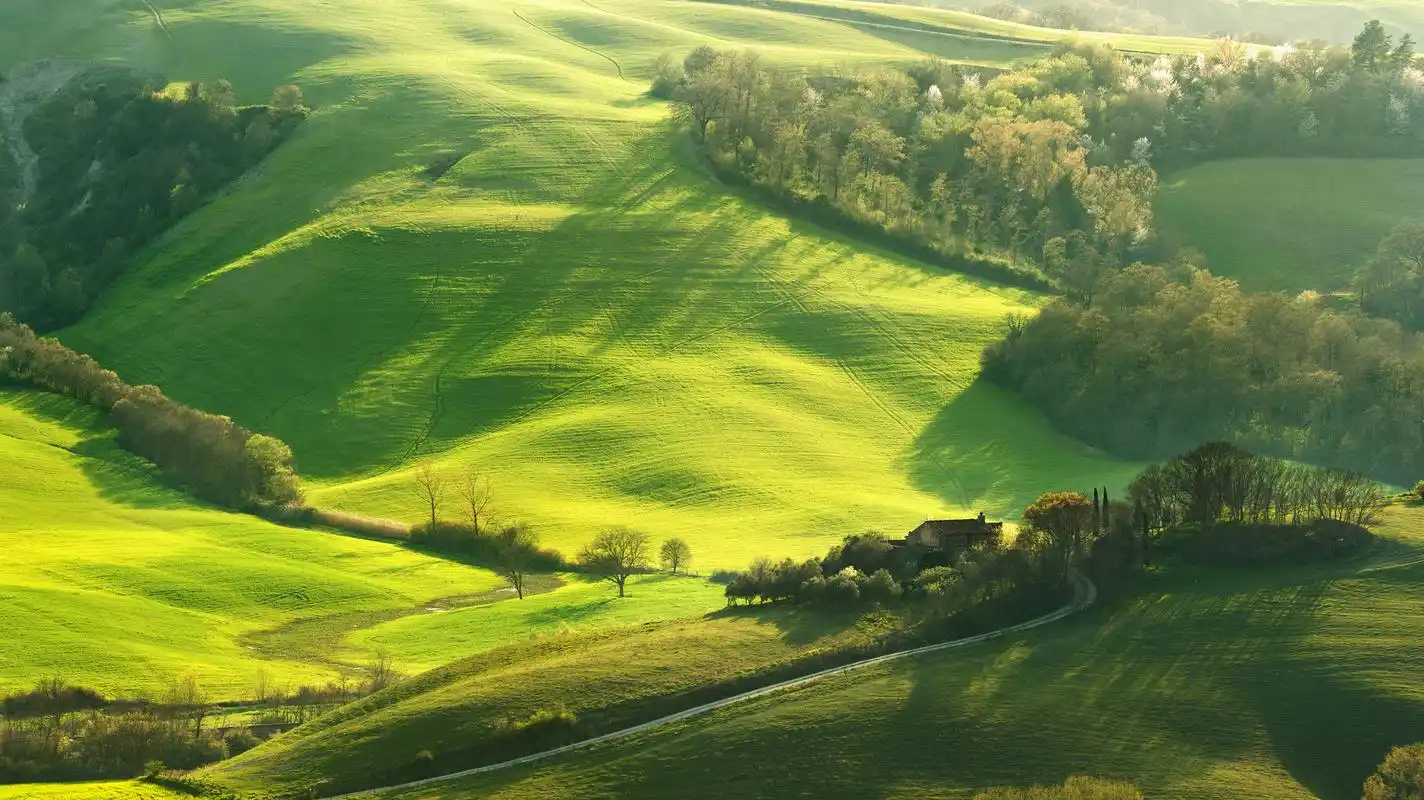 高清绿色护眼自然风景图片桌面壁纸