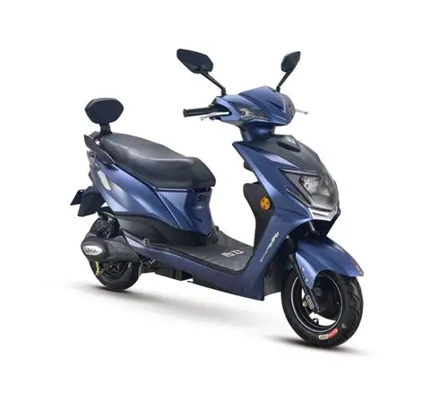 立马电动车极锐图片