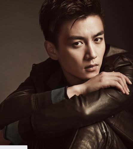 陈晓求婚陈妍希成功陈晓帅气写真尽显轻熟男魅力